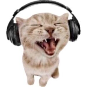 Nida kullanıcısının profil fotoğrafı